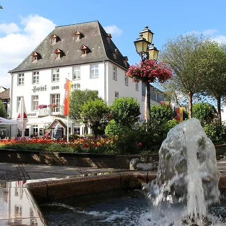 Zum Stern ホテル バート・ノイェンアール・アールヴァイラー